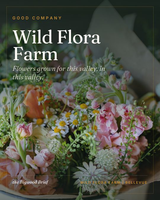 Good Company Instagram feature cover: Wild Flora Farm, a flower farm in Bellevue